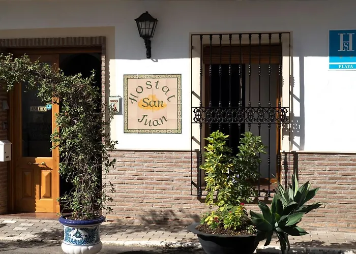 Perros hoteles San Juan